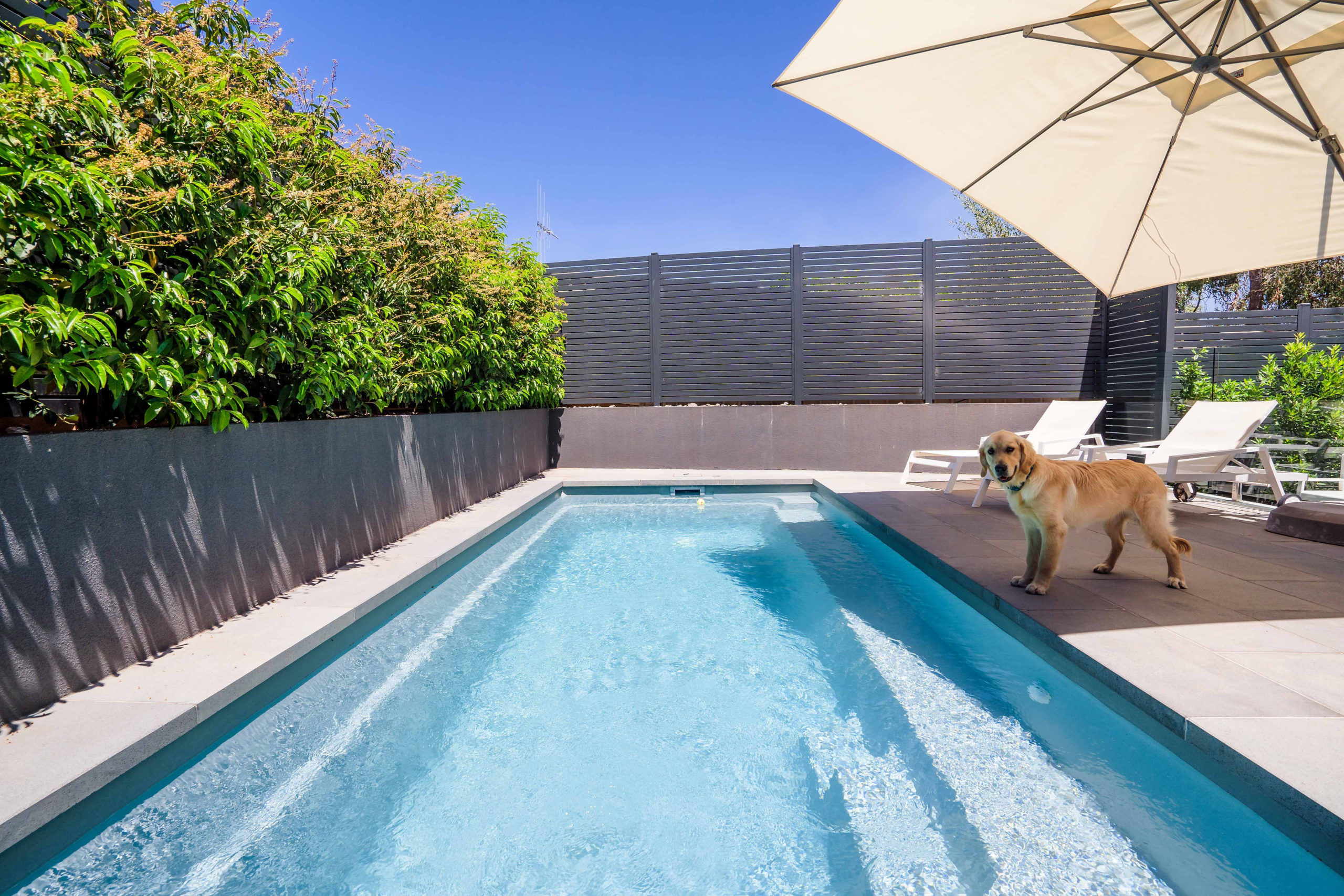 The Benefits of Owning a Swimming Pool - Leisure Pools New Zealand