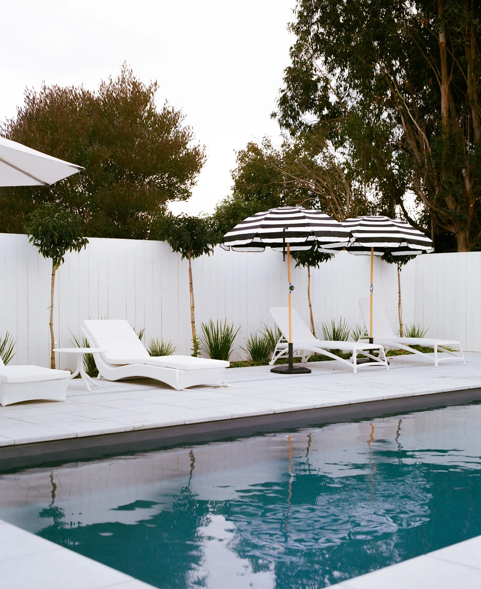 NZ Pools Martinborough NZ, Leisure Pools The Elegance 10m Graphite Grey